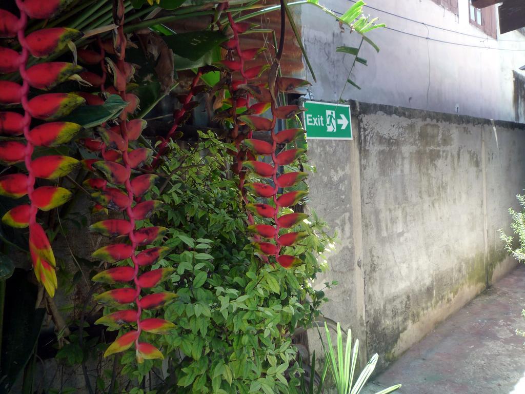 Noom Guesthouse Lop Buri Buitenkant foto